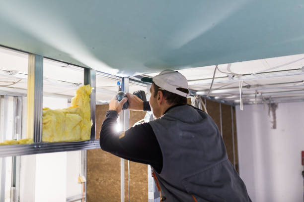 Best Blown-In Insulation  in Edwardsville, PA